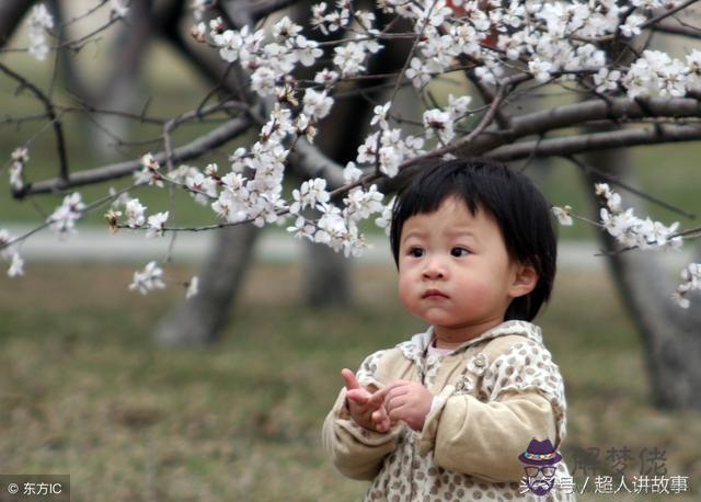 算命說命里子女少是什麼意思