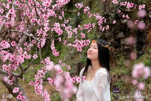 八字中正桃花是什麼意思