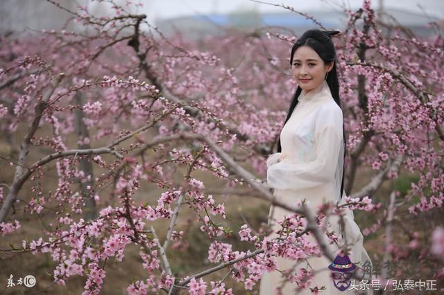 八字中正桃花是什麼意思