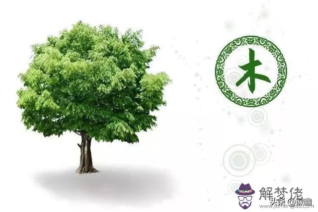 從生辰八字測金木水火土缺什麼意思 從生辰八字測金木水火土缺什麼意思