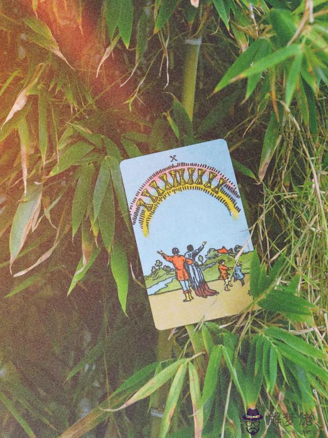 感情運勢積極是什麼意思