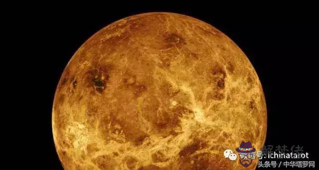 八字命理分析金星是什麼意思
