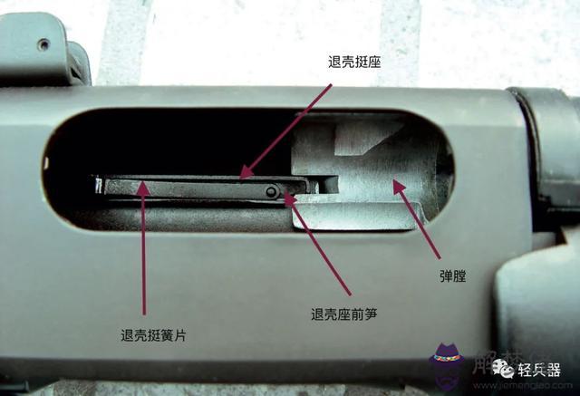 命運雙彈匣組件什麼意思