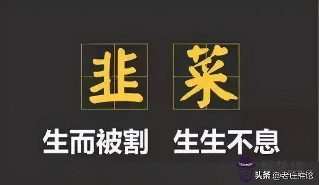 瞎子算命兩頭堵啥意思