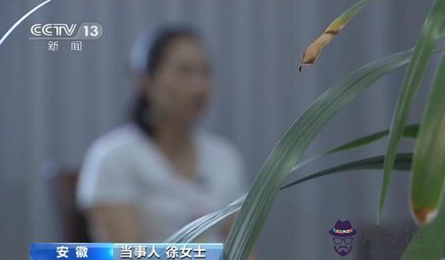 算命花家是什麼意思是什麼 算命花家是什麼意思是什麼
