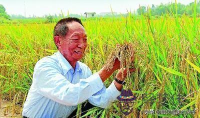 八字看為什麼成功