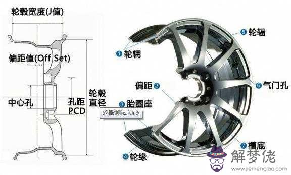 八字輪轂學名是什麼意思