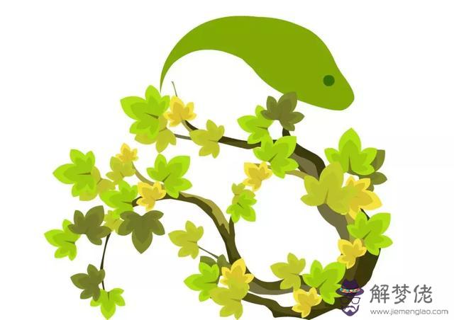算命說蛇代表什麼意思