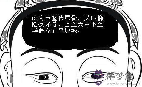 算命說的小青龍是什麼意思