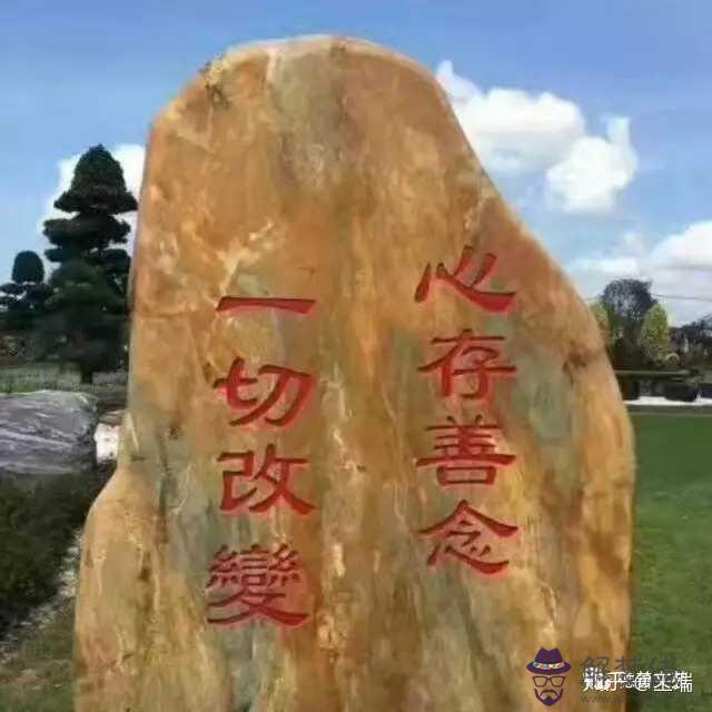 被命運捏住后頸肉是什麼意思