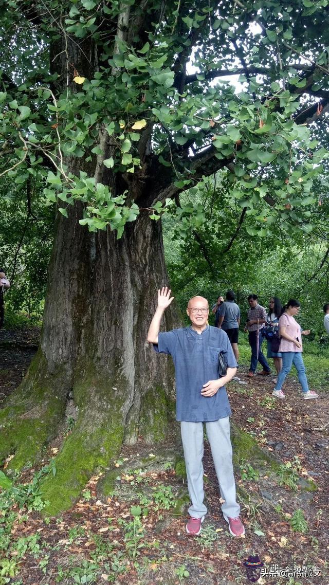 算命爐火是什麼意思