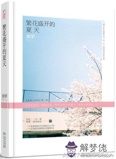 粉絲薦書，十本經典的言情小說，書荒者的福音