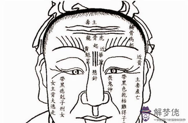 關于算命的乳牛是什麼意思的信息