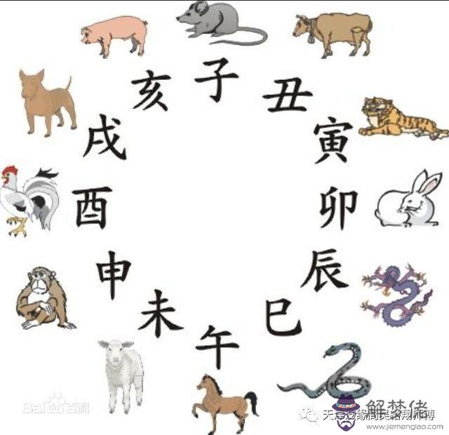 算命黑猴是什麼意思啊