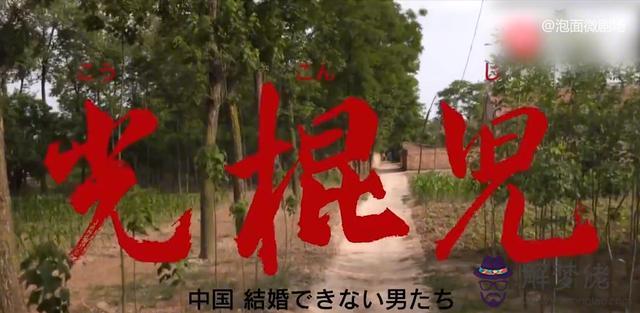 算命說的帶狼跡是什麼意思 算命說的帶狼跡是什麼意思