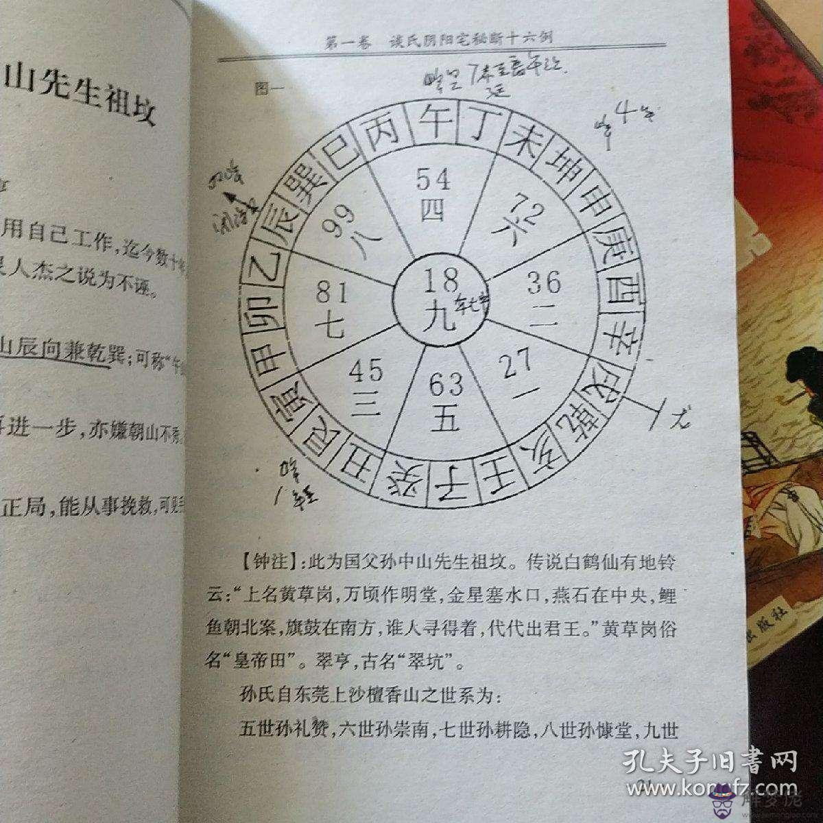 關于在八字里面時比與時傷是什麼意的信息