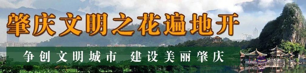 肇慶哪里睇八字