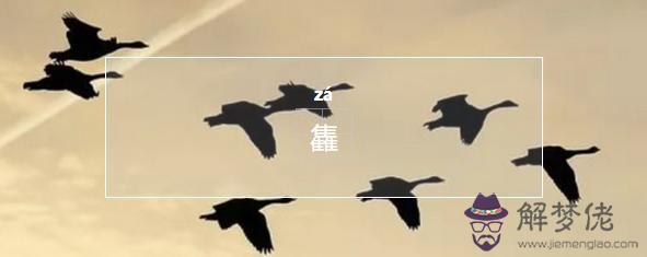 壟在易經中的意思 壟在易經中的意思