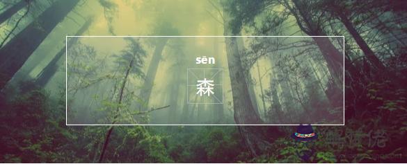 壟在易經中的意思 壟在易經中的意思