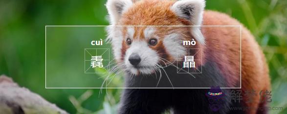 壟在易經中的意思 壟在易經中的意思