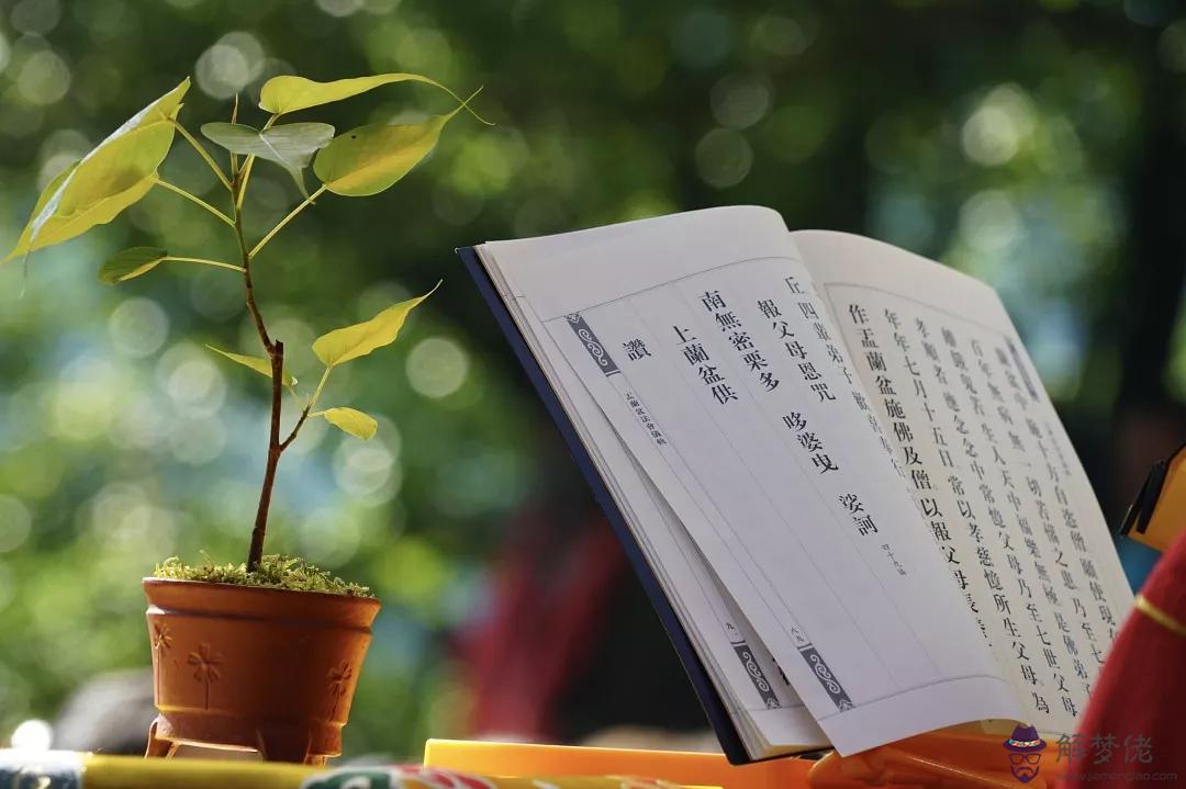 算命讓我心狠手辣是什麼意思
