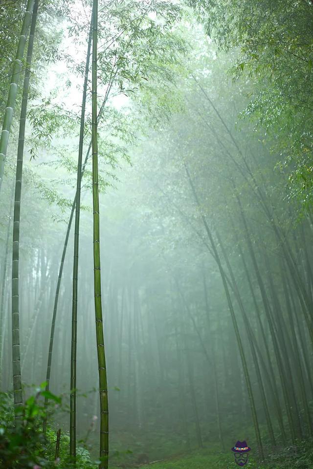 算命說缺節是什麼意思