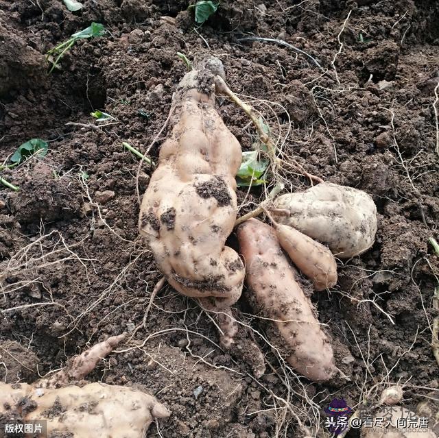 算命中大煞是什麼意思