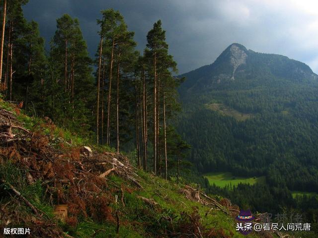 算命中大煞是什麼意思