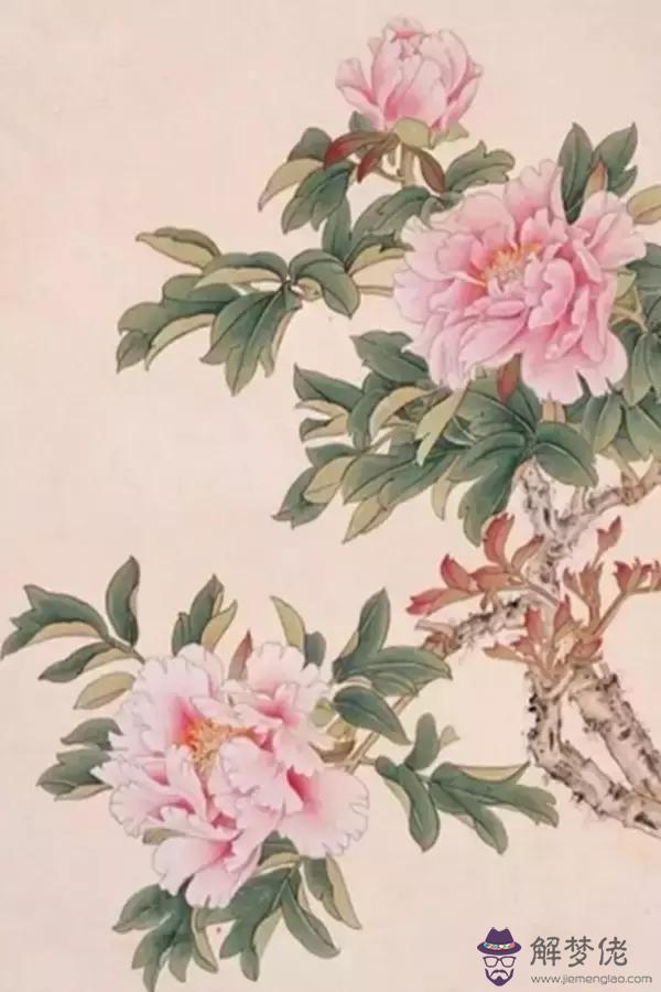 八字高是什麼意思