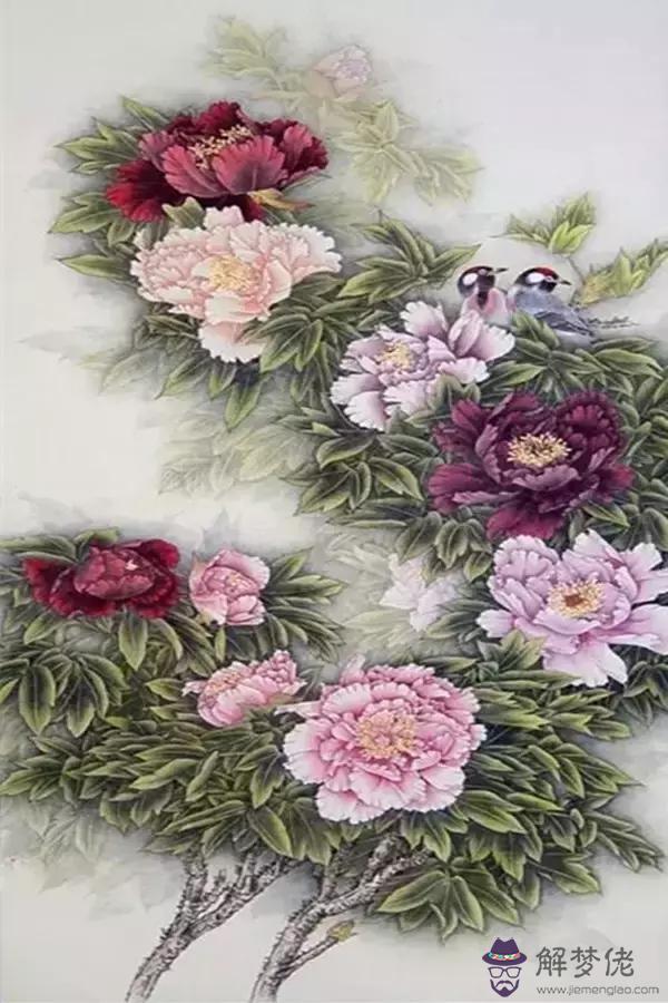 八字高是什麼意思