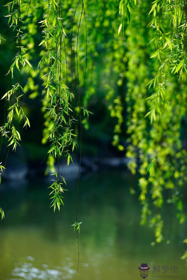 八字雙童子加上節氣童子什麼意思