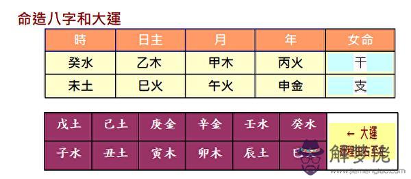 八字傷官代表的意思