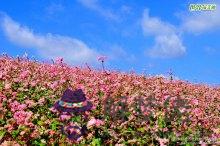 算命里面的紅花滿山開是什麼意思