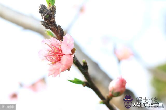 劫財在算命里是什麼意思 劫財在算命里是什麼意思