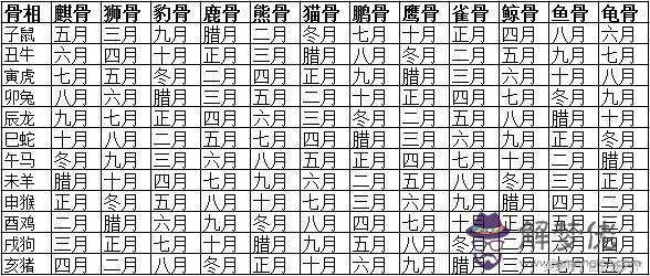 算命說貓骨是什麼意思是什麼