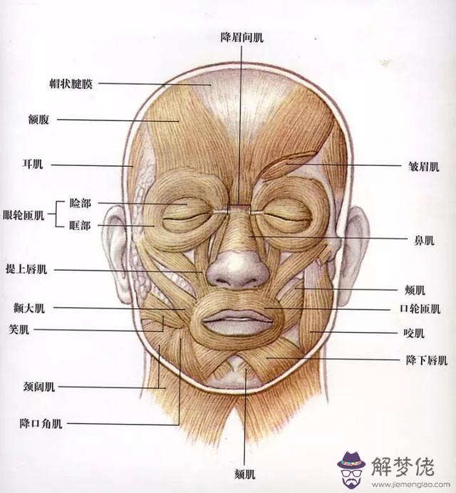 微信笑容表情眉毛八字的意思