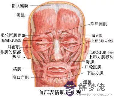 微信笑容表情眉毛八字的意思