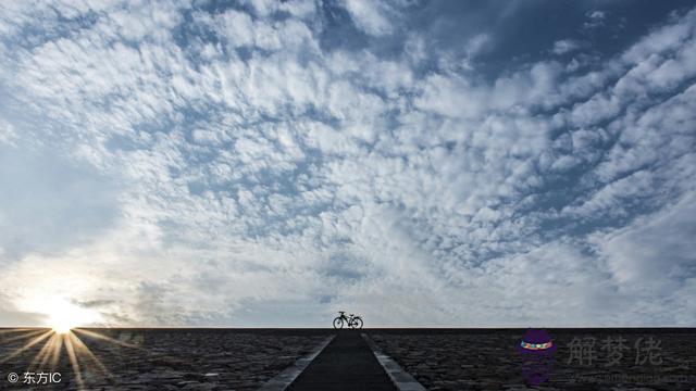 算命說犯桃花帶傷帶淚什麼意思