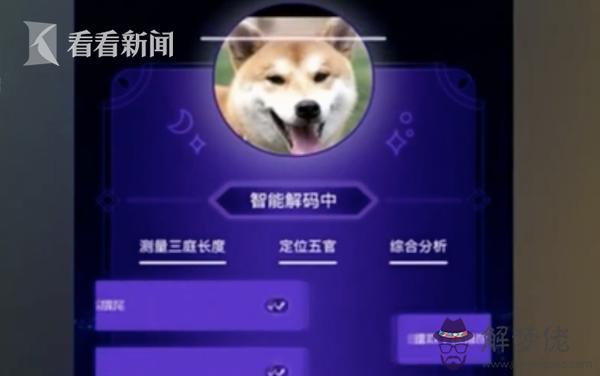 八字合犬猜生肖