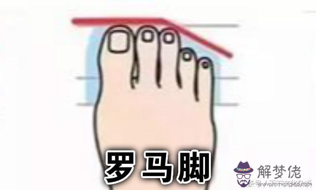 看相算命腳第四個腳長啥意思