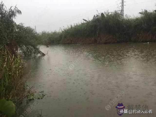 算命釣魚命是什麼意思