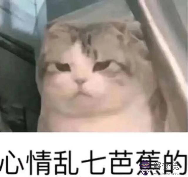 算命的說對一是什麼意思 算命的說對一是什麼意思