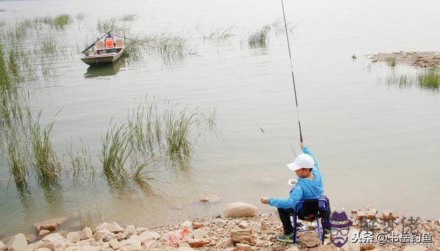 釣魚的八字環是什麼意思