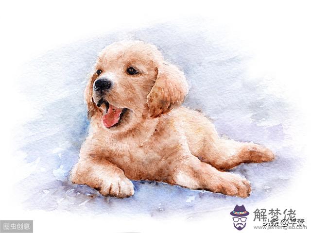 算命的說我過山之虎什麼意思 算命的說我過山之虎什麼意思