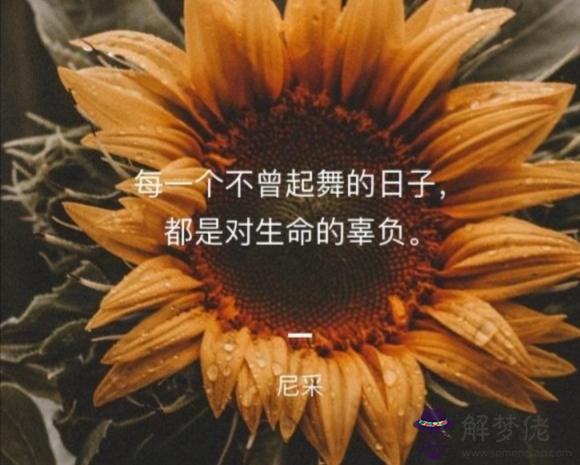 算命的說孩子不親是什麼意思