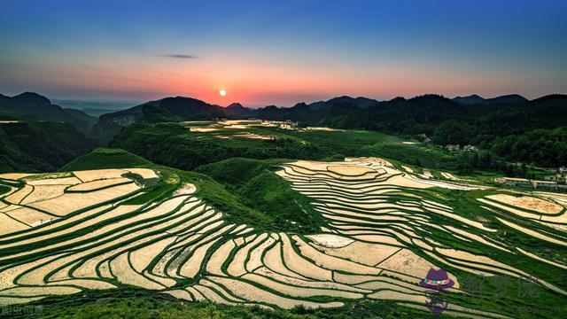 算命傷運是什麼意思