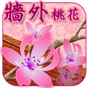 八字桃花的意思