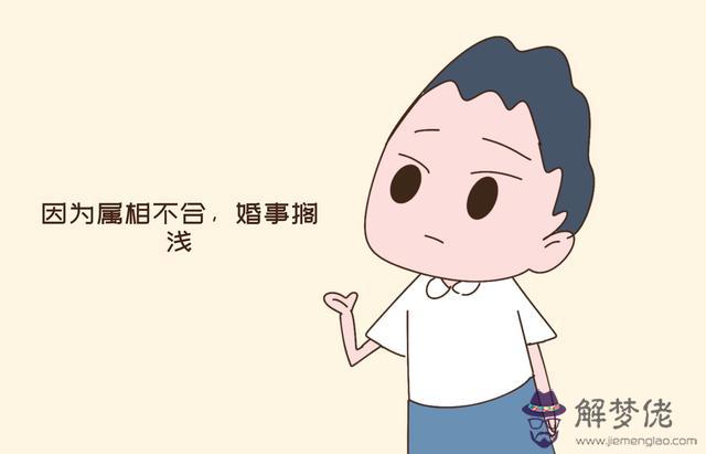 生肖沖八字還可以