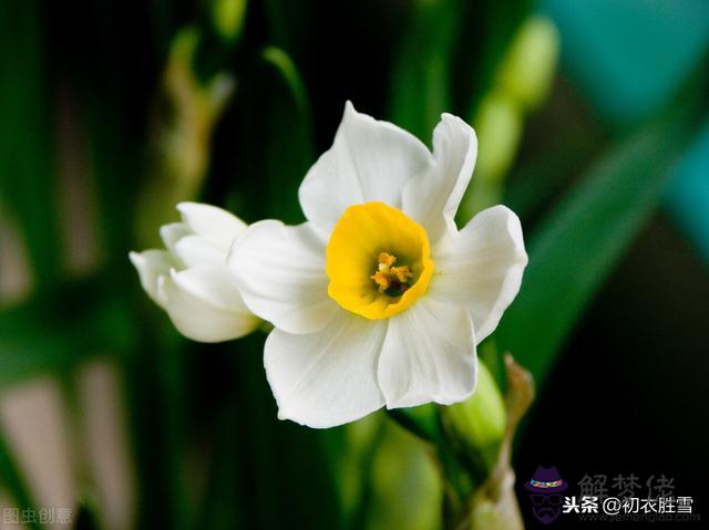 香成八字是什麼意思 香成八字是什麼意思