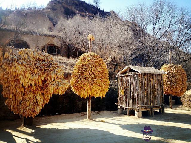 古代算命的幾斤幾錢是什麼意思